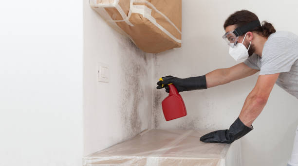 Professional Crawl Space Mold Remediation technician working in Honor, MI