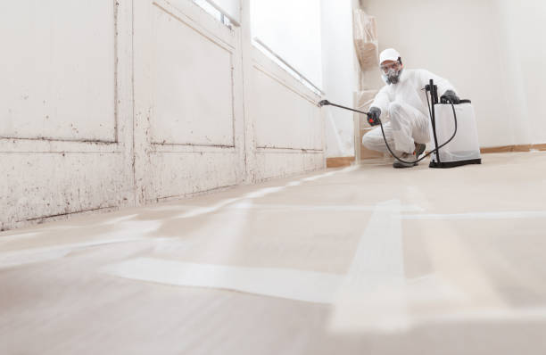 24/7 Emergency Crawl Space Mold Remediation experts in Honor, MI